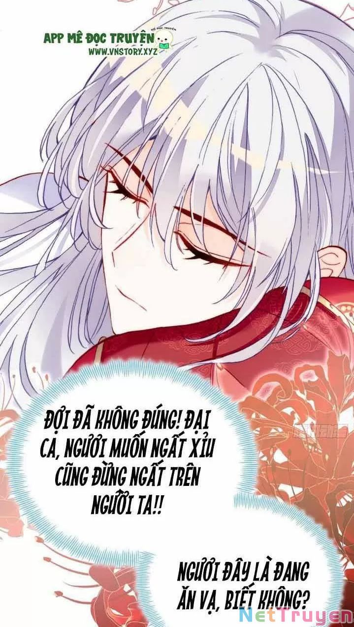 lại bị bệnh chiều chuộng quấn lấy chapter 4 55