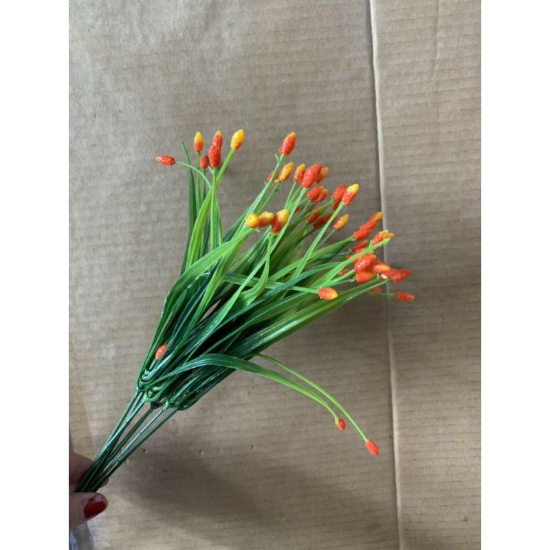 Cụm điểm sao 5 nhánh