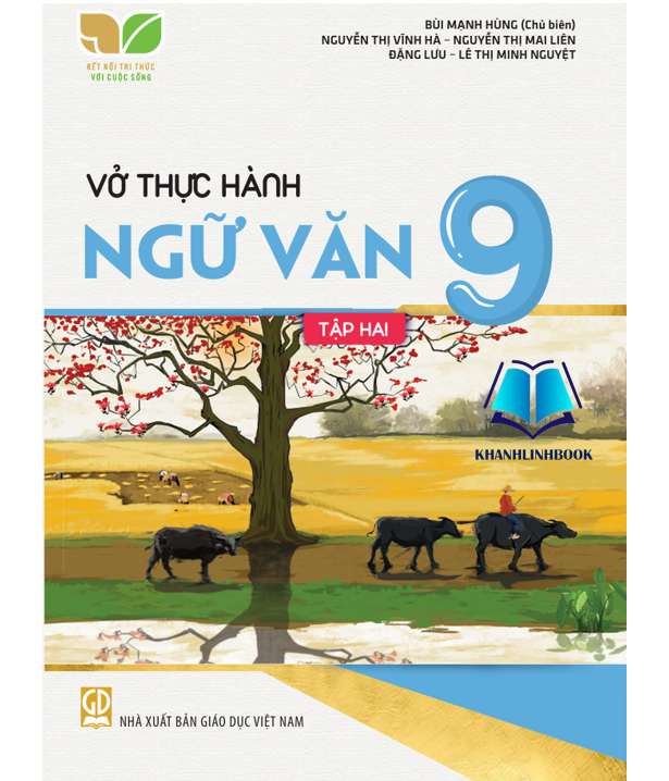 Sách - Vở thực hành ngữ văn 9 - tập 2 ( kết nối tri thức )