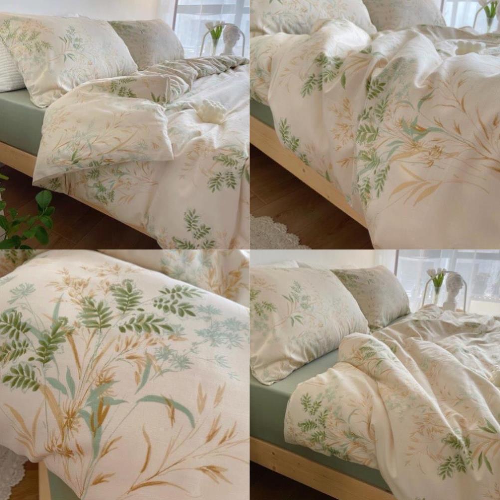 Bộ chăn ga gối Cotton Living 100% Nhà Nhím Chăn ga gối đủ size giường nệm