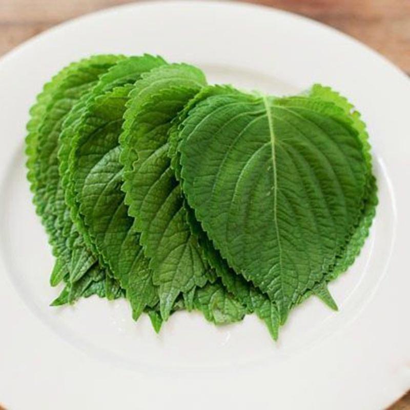 Hạt giống lá mè Hàn Quốc, đóng gói 1gr