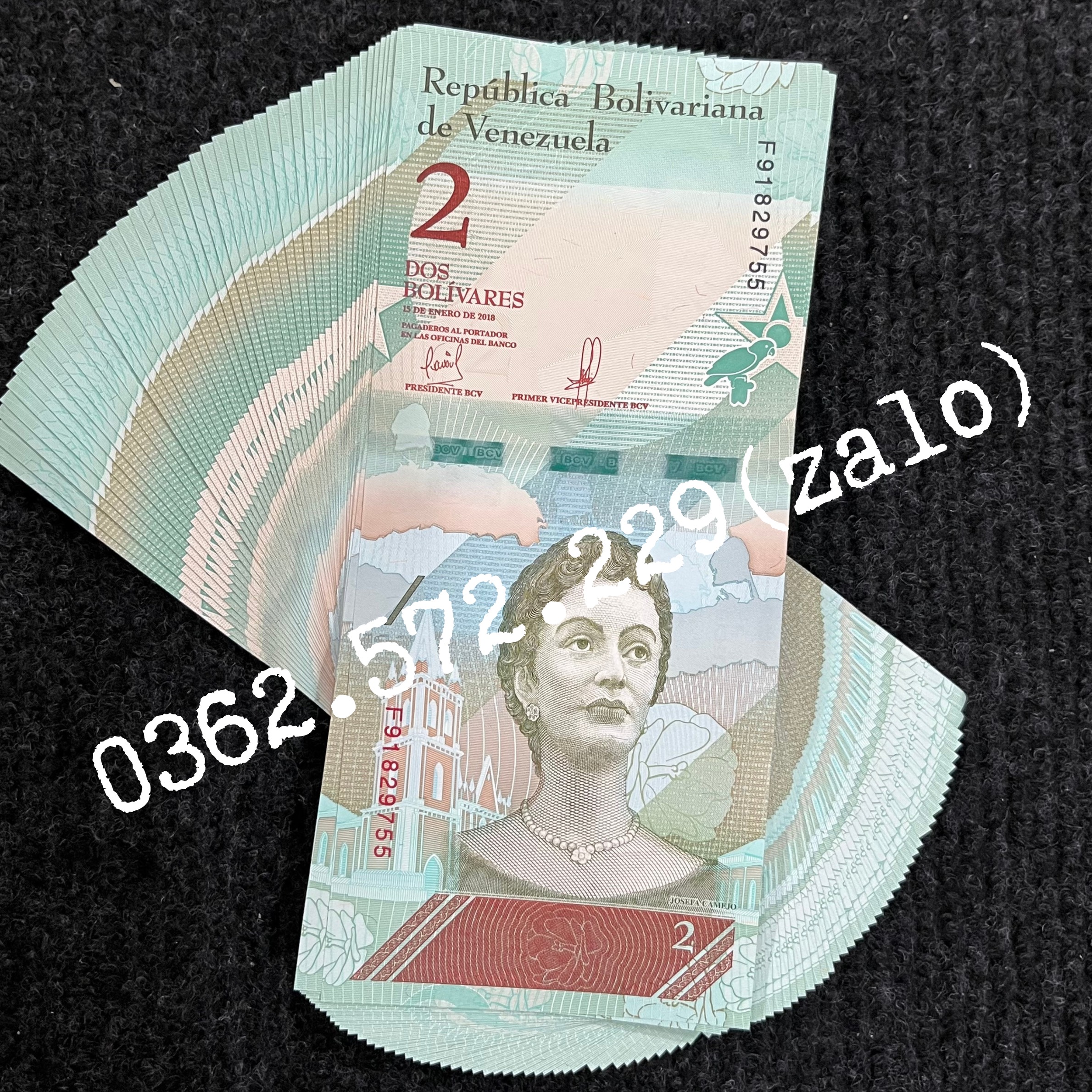 Combo 10 Tờ  Tiền 2 Bolivares của Venezuela hình con chim két tiền châu Mỹ , Mới 100% UNC
