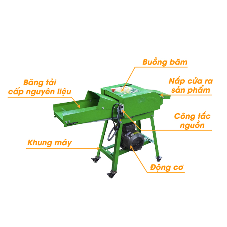 Máy băm cỏ voi, cây ngô băng tải 3A2,2KW an toàn tuyệt đối, năng suất 500Kg/h