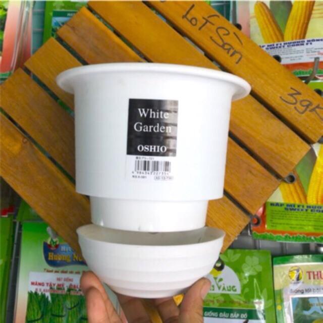 Combo 4 Chậu Ốp Tường - Ốp Vách cao cấp