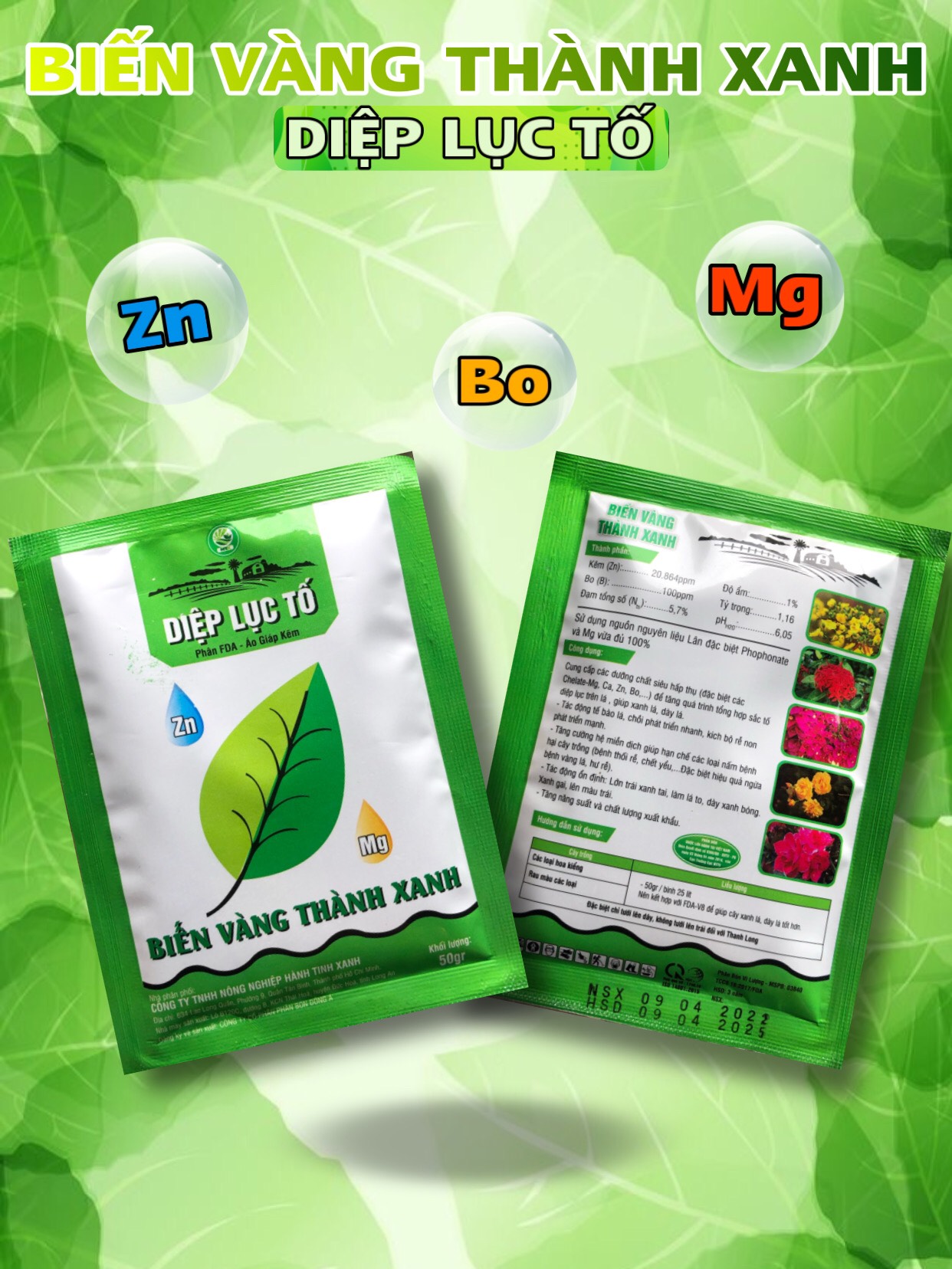 Phân bón FDA – Áo giáp kẽm Diệp Lục Tố biến vàng thành xanh