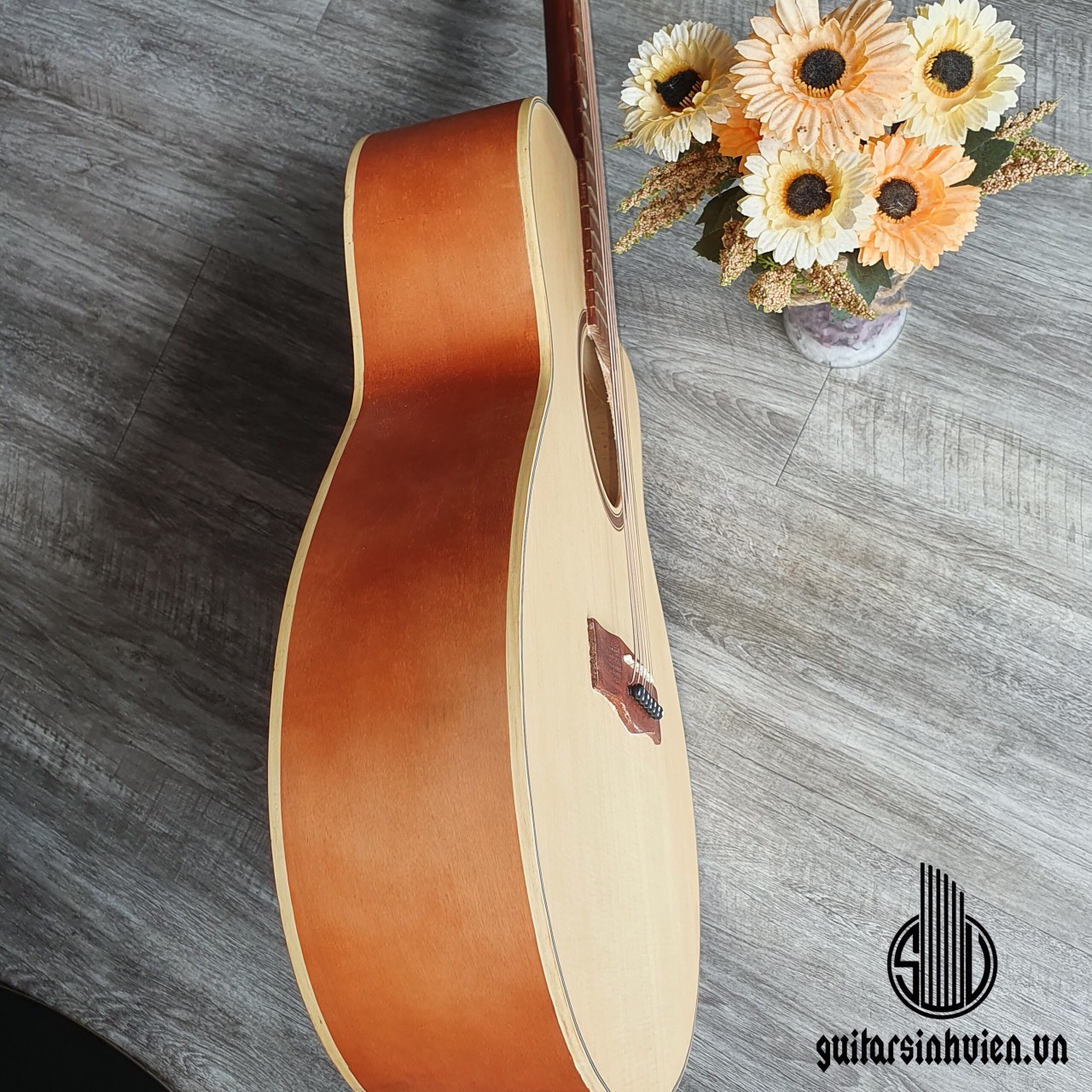 Đàn guitar acoustic SV1 mặt gỗ thông - đàn chuyên tập chơi