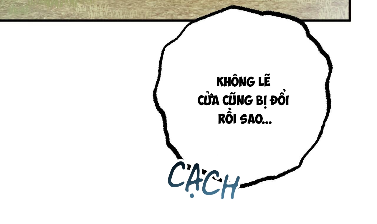đàn thỏ của habibi chapter 33 243