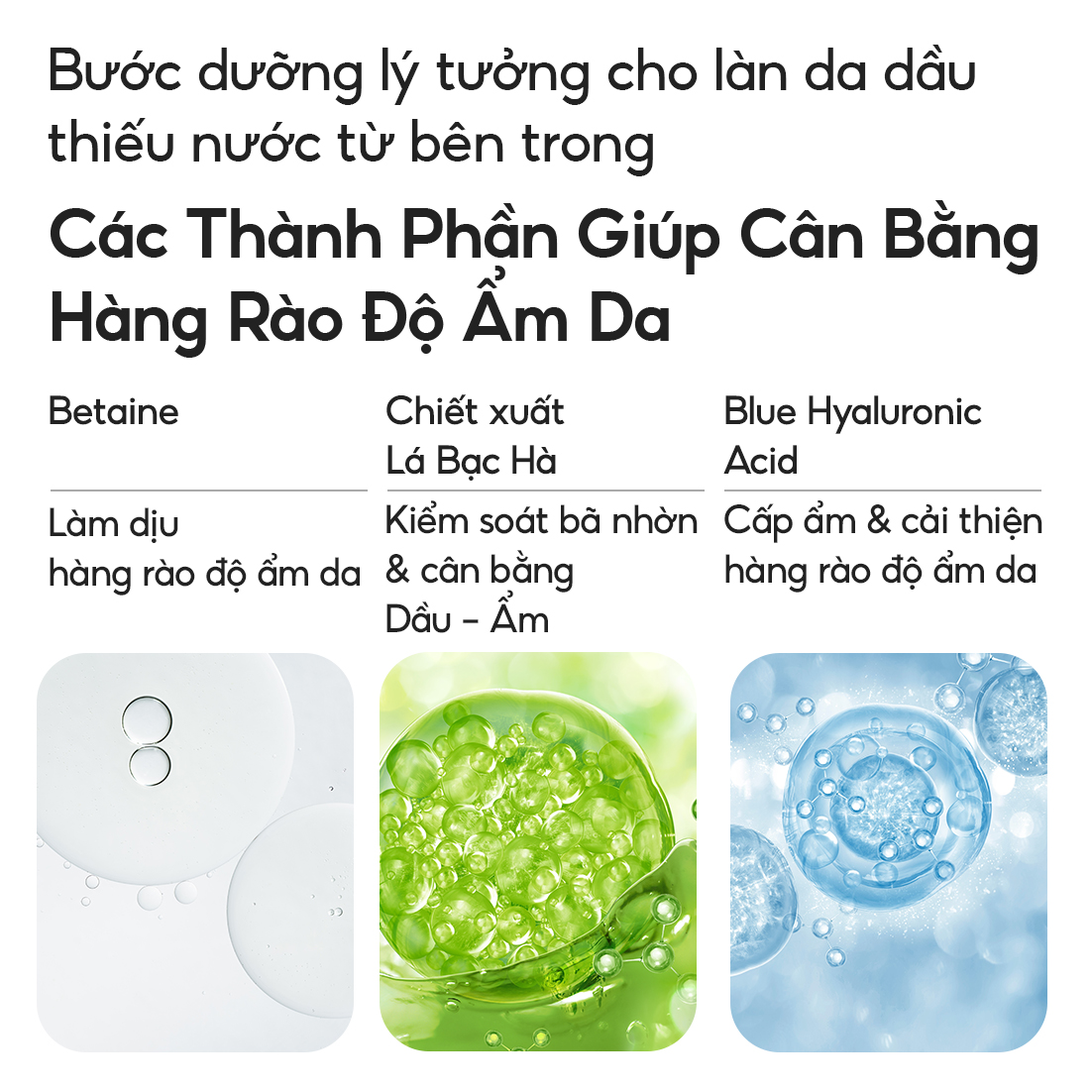 Kem Dưỡng Ẩm Dành Cho Da Dầu Và Da Hỗn Hợp Laneige Water Bank Blue HA Cream Oily 50ml