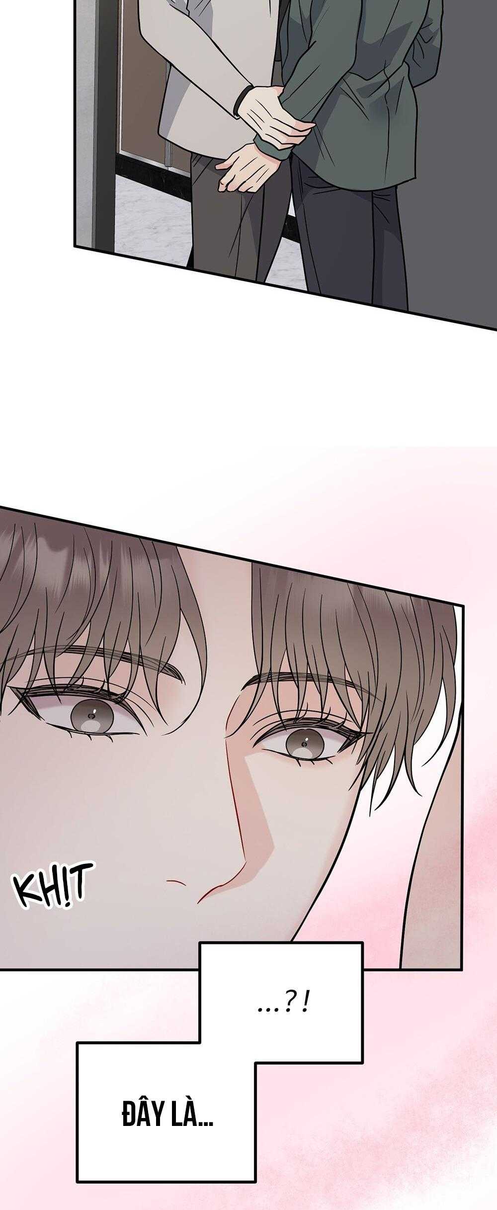 cậu không phải gu tôi chapter 48 4