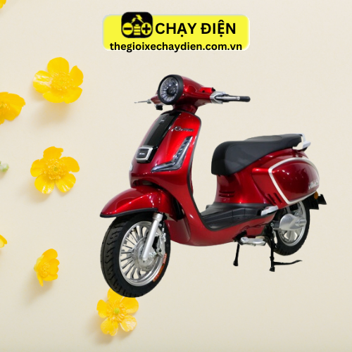 XE MÁY ĐIỆN DK ROMA SI