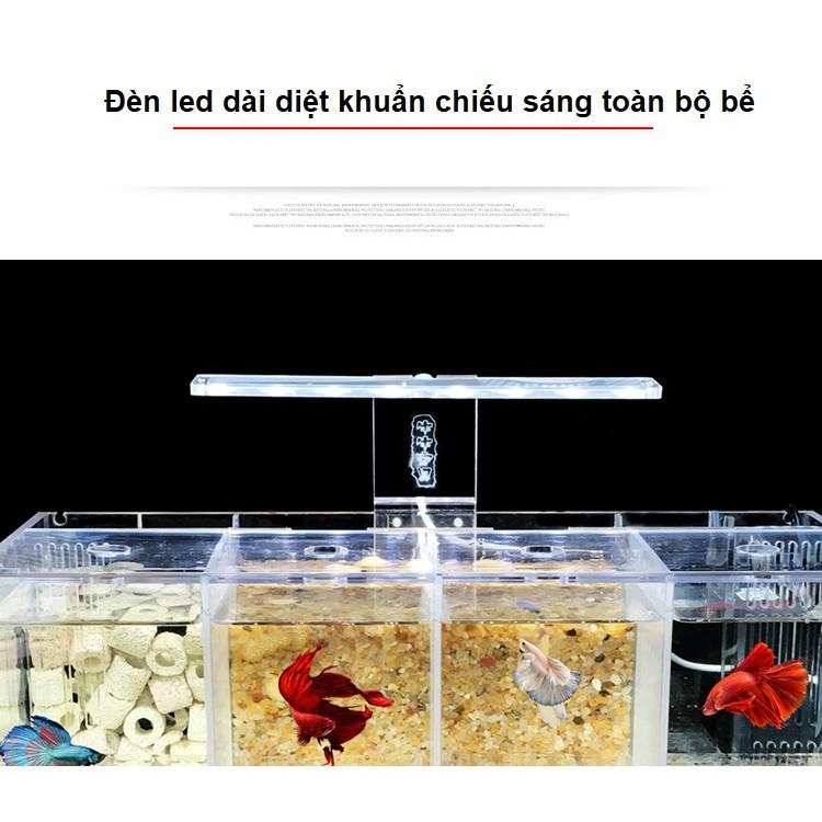 Hộp acrylic nuôi cá chọi betta 4 ngăn trong suốt