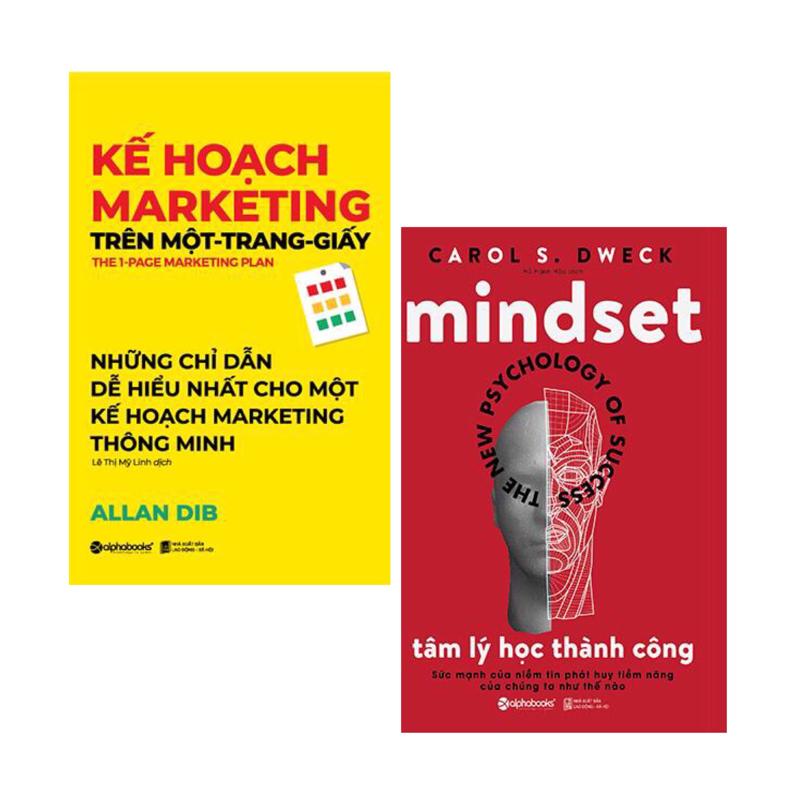 Combo 2 Cuốn :Kế Hoạch Marketing Trên Một - Trang - Giấy + Tâm Lý Học Thành Công