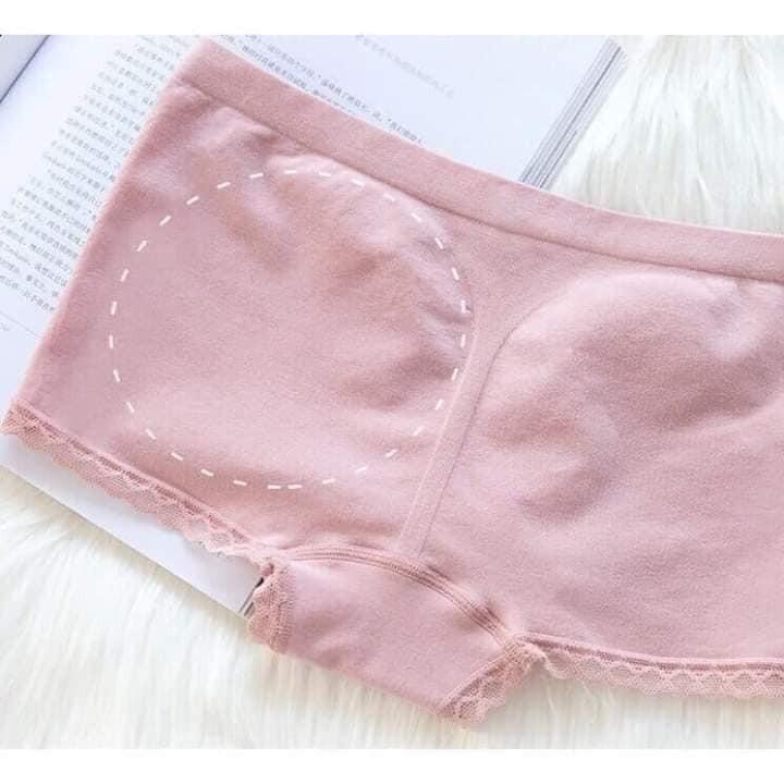 Sét 5 quần lót cotton kháng khuẩn cao cấp