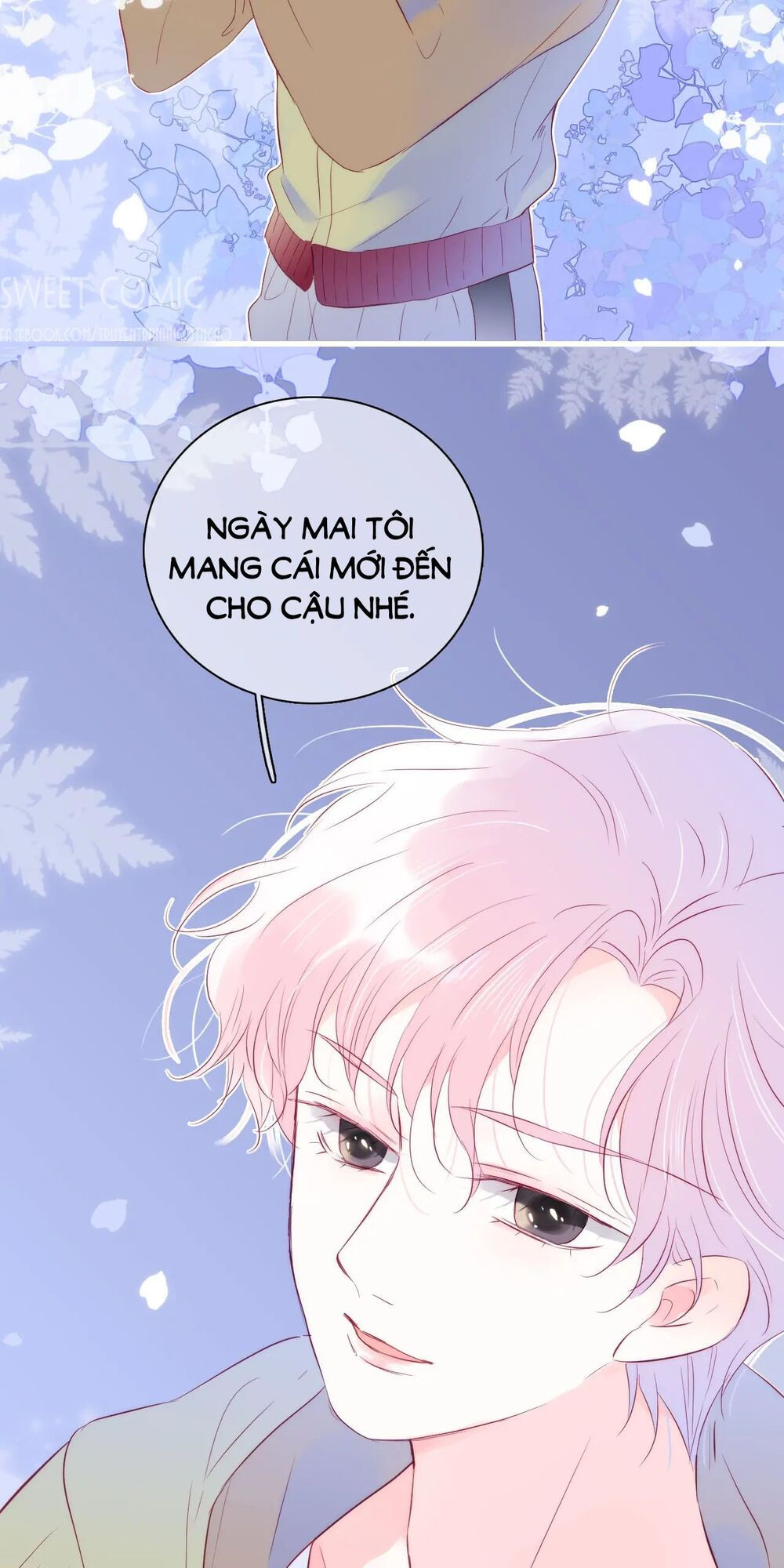 chạy trốn cùng con nhím chapter 29 33