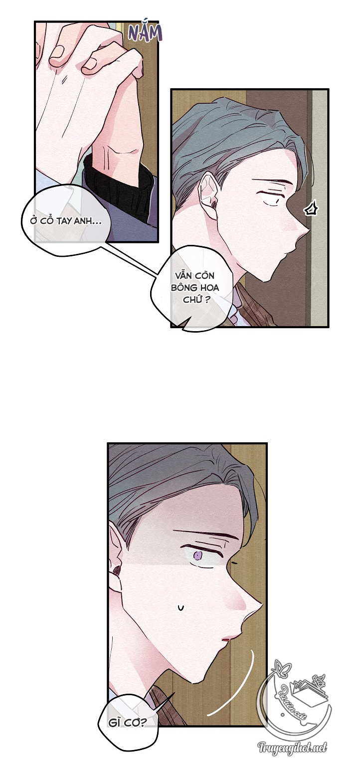 [bl19+] hoa không nở chapter 4 17