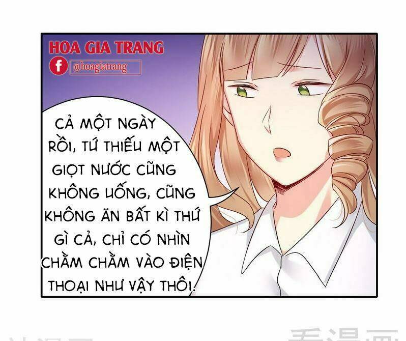 phục thù thiếu gia tiểu điềm thê chapter 71 28