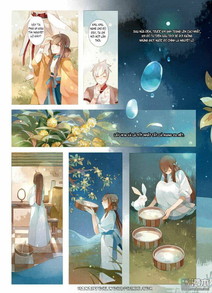 kim quế hoa cao chapter 1 15