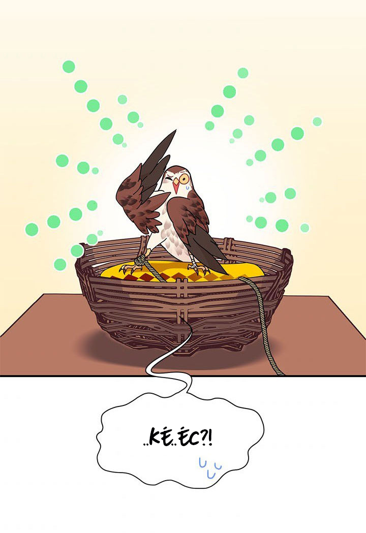 công chúa của loài chim chapter 18 49