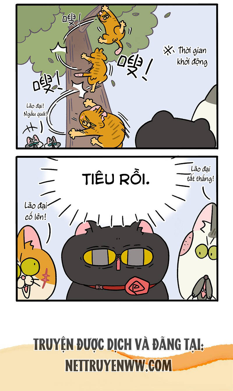 a mãn và mạch trà chapter 43 6