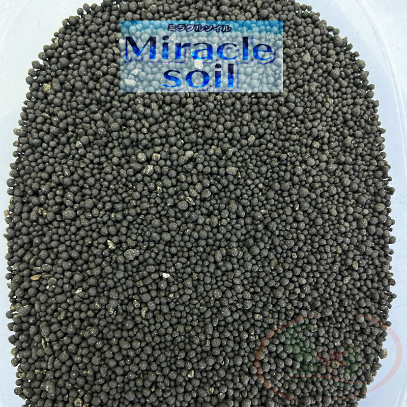 Đất nền Miracle Soil Nhật Bản trồng cây bể thủy sinh cá tép cảnh