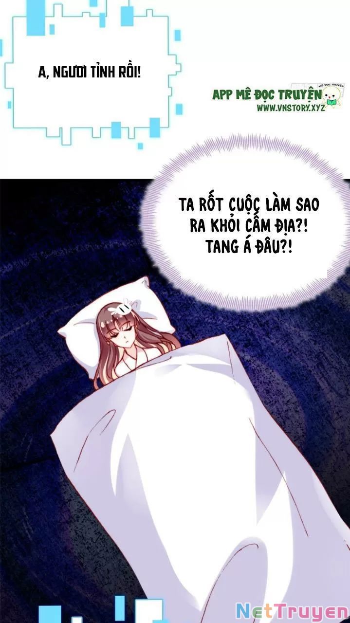 lại bị bệnh chiều chuộng quấn lấy chapter 27 24