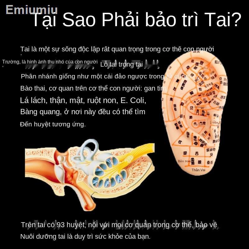 Dụng cụ đặc biệt dành cho tai và hộp moxibet di động không khói