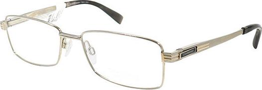 Gọng kính Charmant CH10234