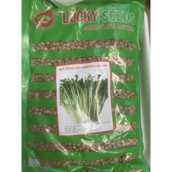 1kg hạt giống rau mầm Đậu Hà Lan