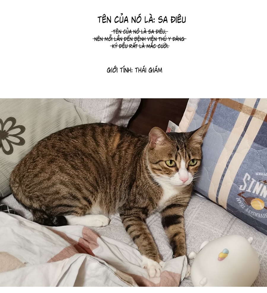 đừng nói yêu tôi chapter 52.1 3