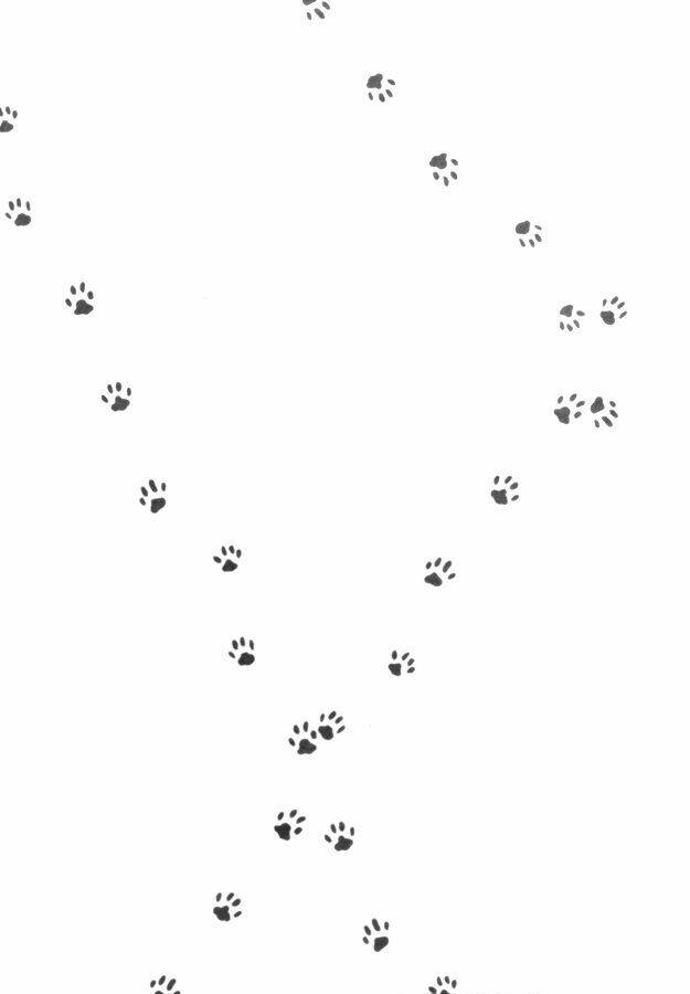 ta vẫn sẽ gặp nhau tình cờ nơi con phố ấy chapter 1 7