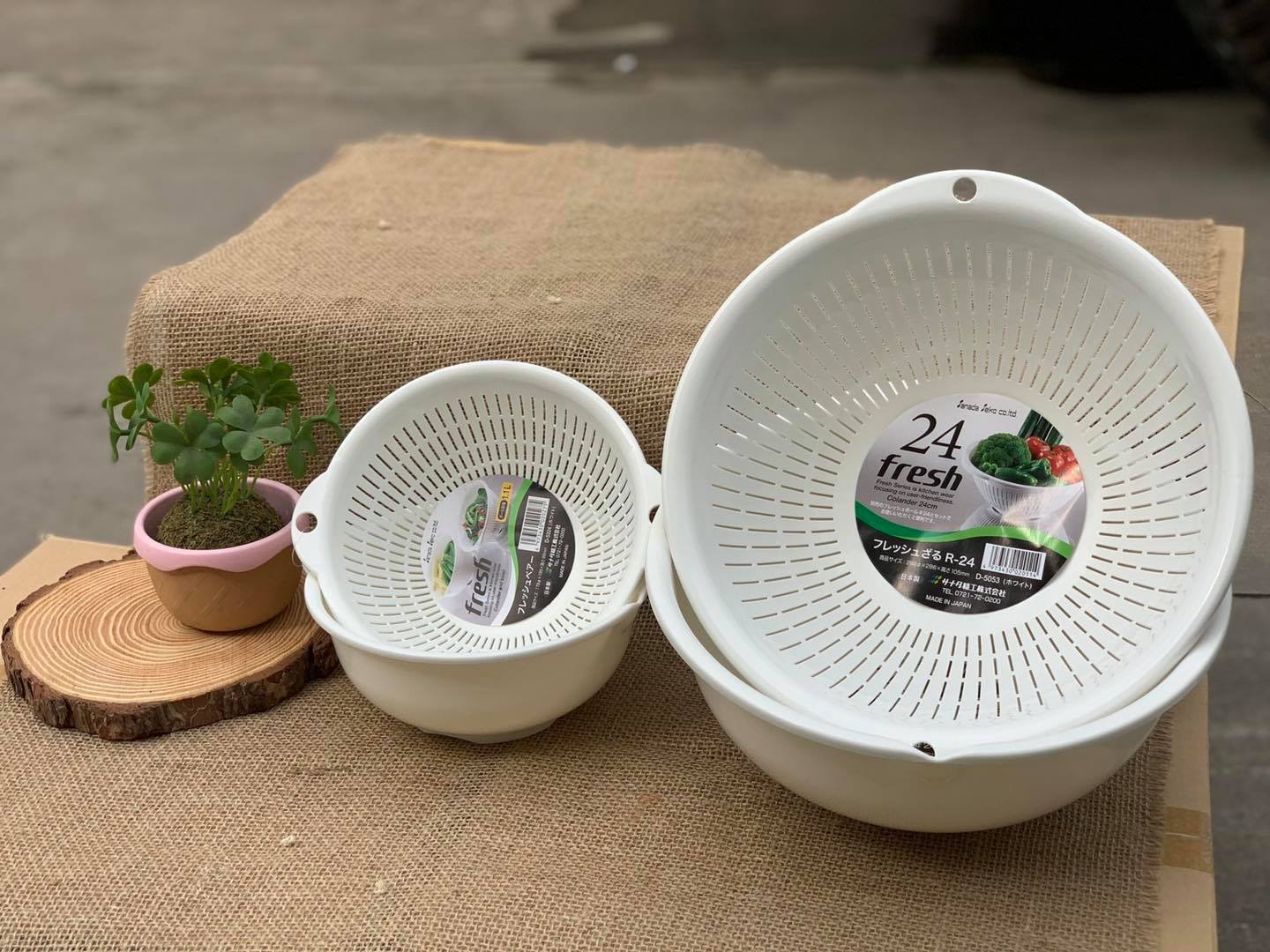 Combo Chậu nhựa nội địa Nhật Bản - Trắng