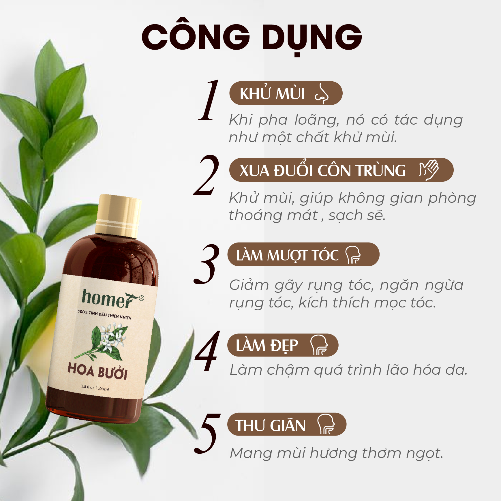 Tinh Dầu Hoa Bưởi Homer 100ml - Chính Hãng, Đạt Chuẩn Kiểm Định Cao Cấp - Tinh Dầu Xông Thơm Phòng, Thư Giãn, Khử Mùi hiệu quả