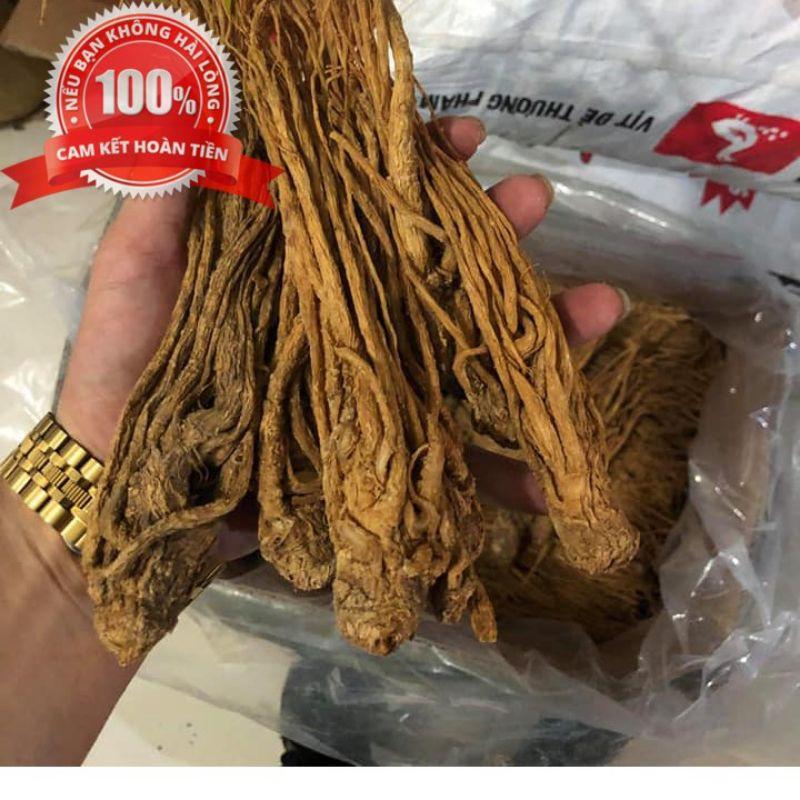 Sâm đương quy khô ngâm rư_ợu rất tốt