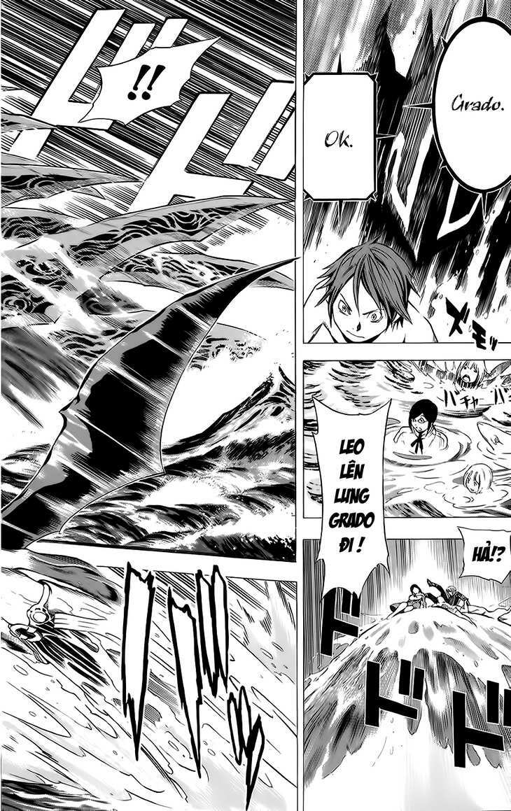 rồng xanh grado chapter 13 22