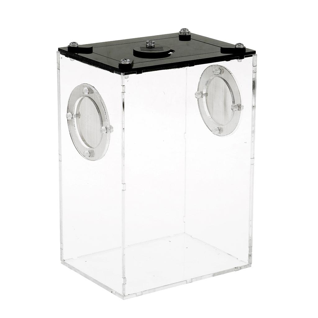Reptiles Feeding Container Snake Insect Frog Breeding Tank Box Case
