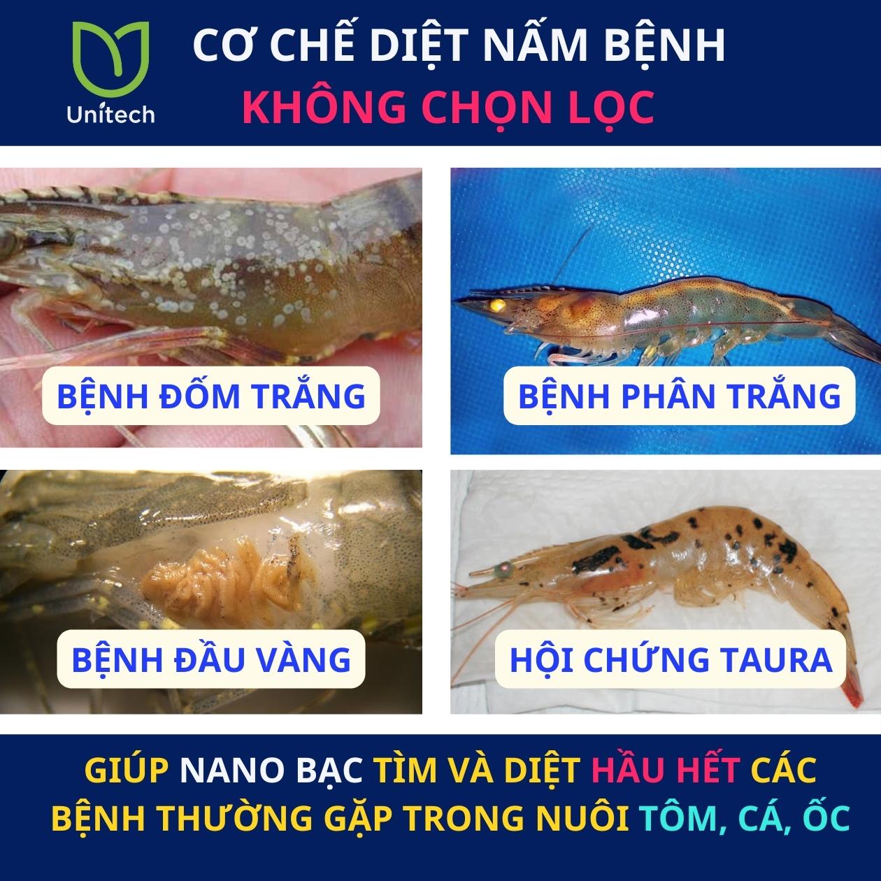 Nano bạc diệt khuẩn Unitech | Phòng bệnh tôm cá, ốc bươu, cá kèo, xử lý nước ao nuôi