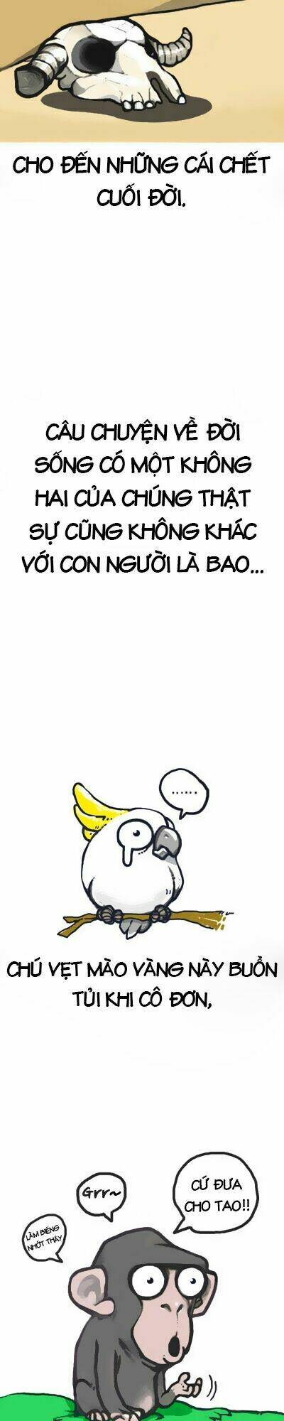 earth, human, and animal chapter 0 7