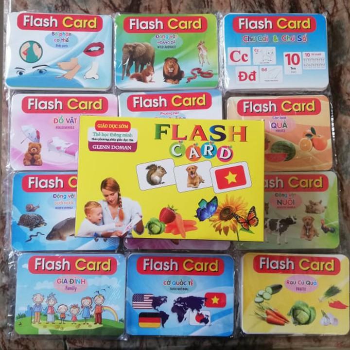 Thẻ học Flash card thông minh loại to (16x12cm) 15 chủ đề quà tặng cho bé trẻ em
