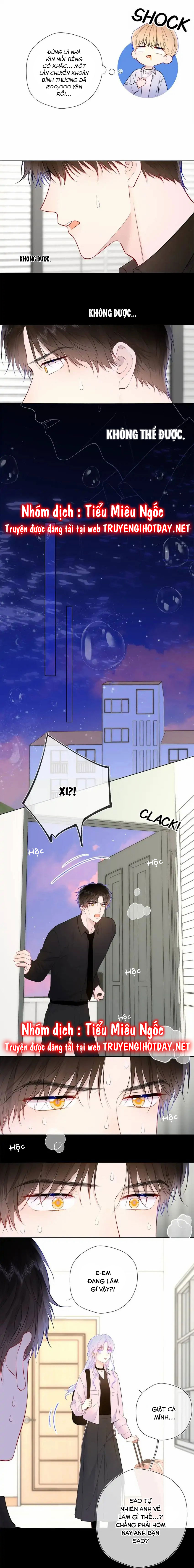 Vì Sao Của Tôi chapter 143 - Trang 5