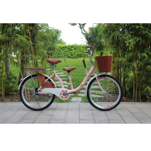 Xe đạp SMNBike 3 chỗ cho gia đình