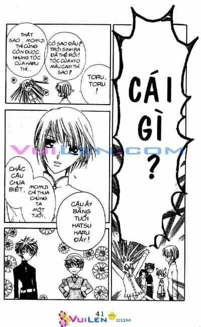 giỏ trái cây - fruit basket chapter 5 39