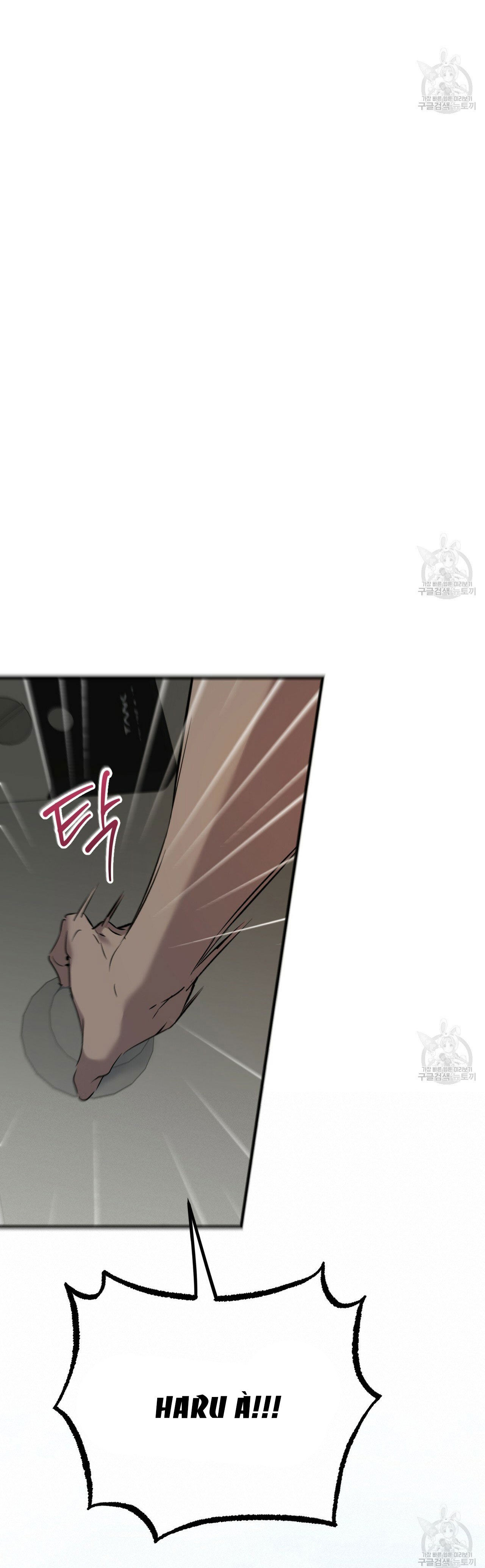 những chú thỏ của hapypy chapter 56.1 14