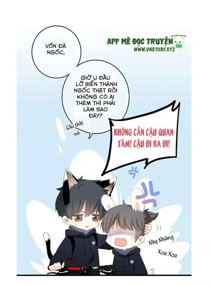 con tim rung động 2 chapter 45 60