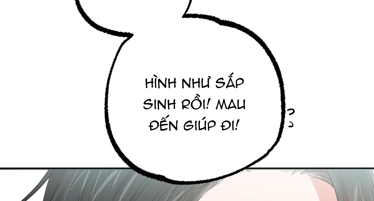 đàn thỏ của habibi chapter 31 203
