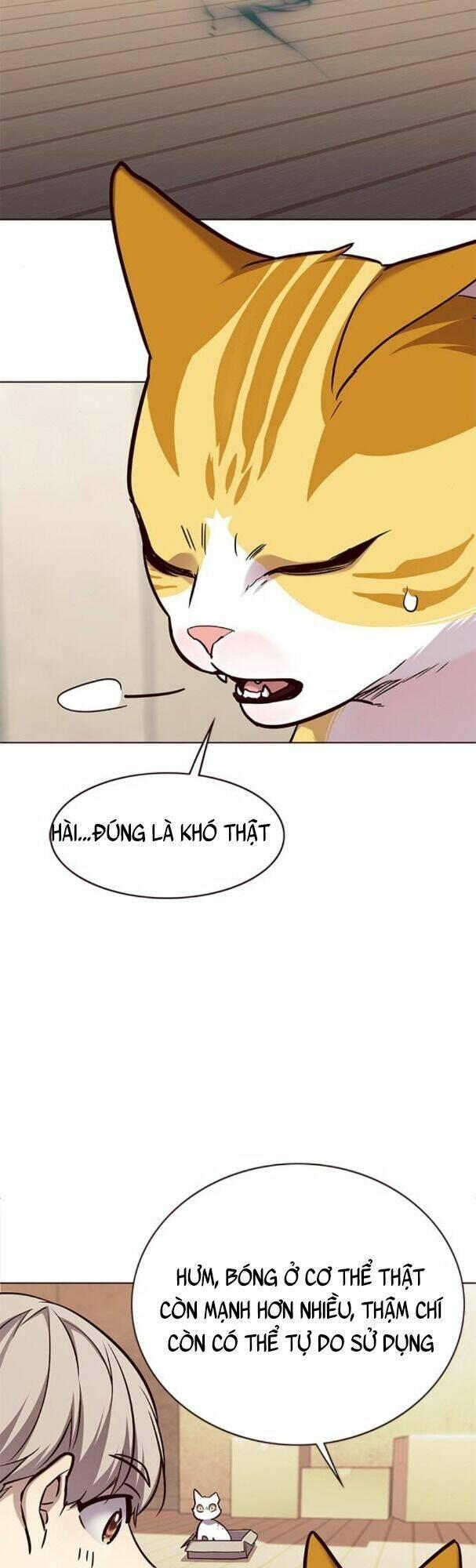 biến thân thành mèo chapter 174 51