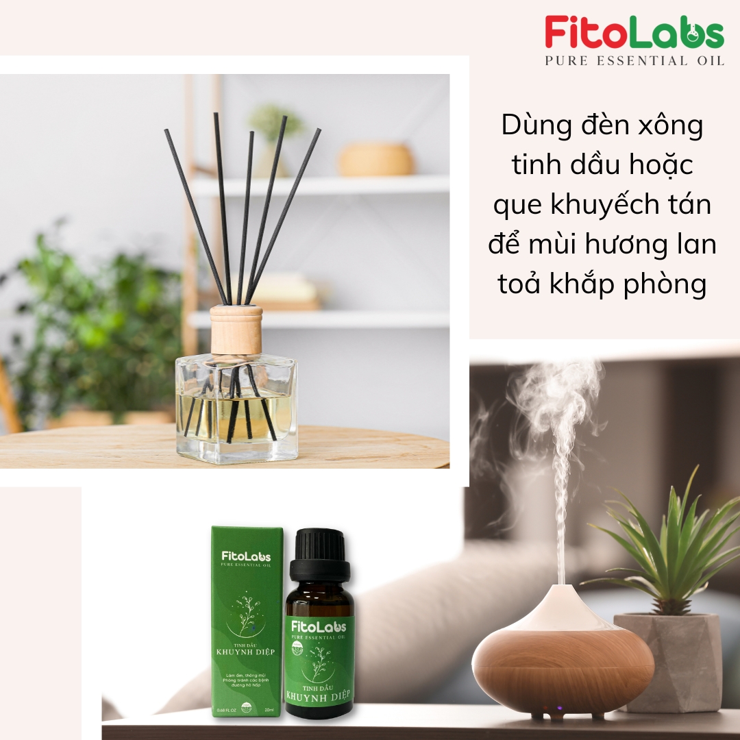 Tinh Dầu Khuynh Diệp Fitolabs Giúp thư Giãn, Thông Mũi, Phòng Bệnh Hô Hấp, Xua Đuổi Muỗi & Côn Trùng