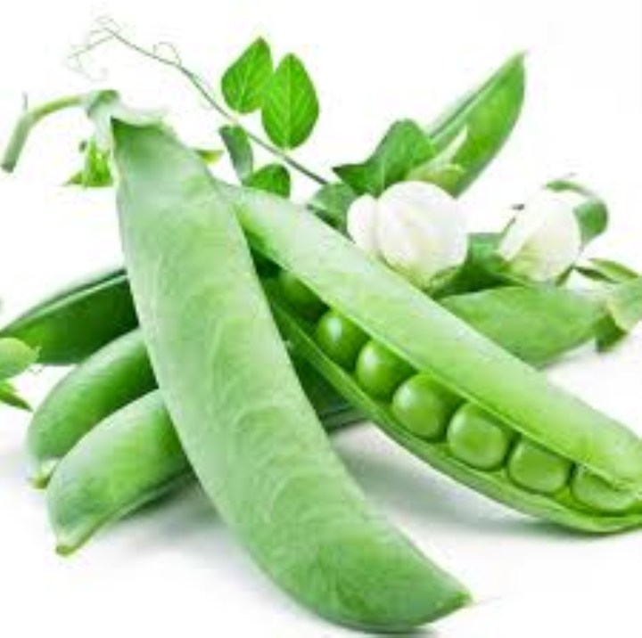 25 gram hạt giống đậu hà lan có thể ăn lá và lấy quả