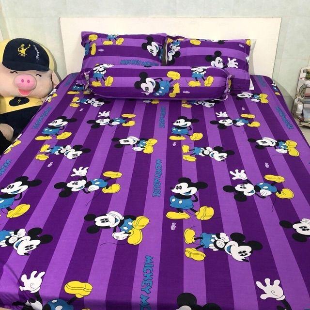 Bộ drap thun hàn quốc