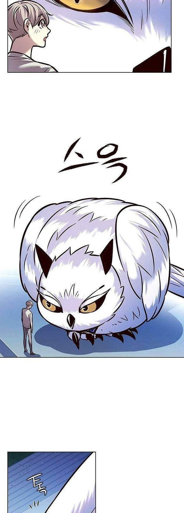 biến thân thành mèo chapter 222 31