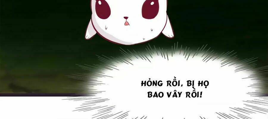 thỏ yêu tiểu vương phi chapter 118 38